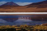 Bolivia - Altiplano